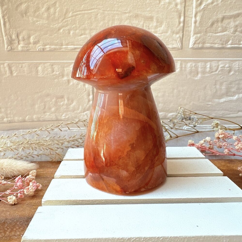 Gorgeous Carnelian Mushroom Carving